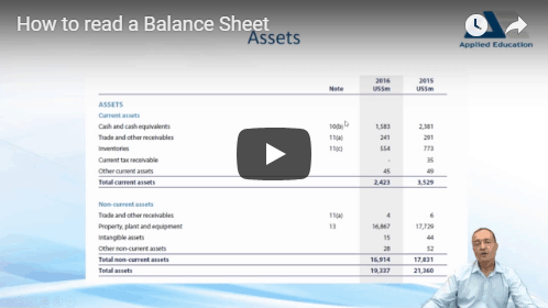 Balance Sheet Basics [Video] 6